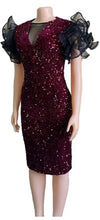 Load image into Gallery viewer, Velve Mesh dress
